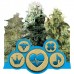 Medical mix - Royal Queen Seeds